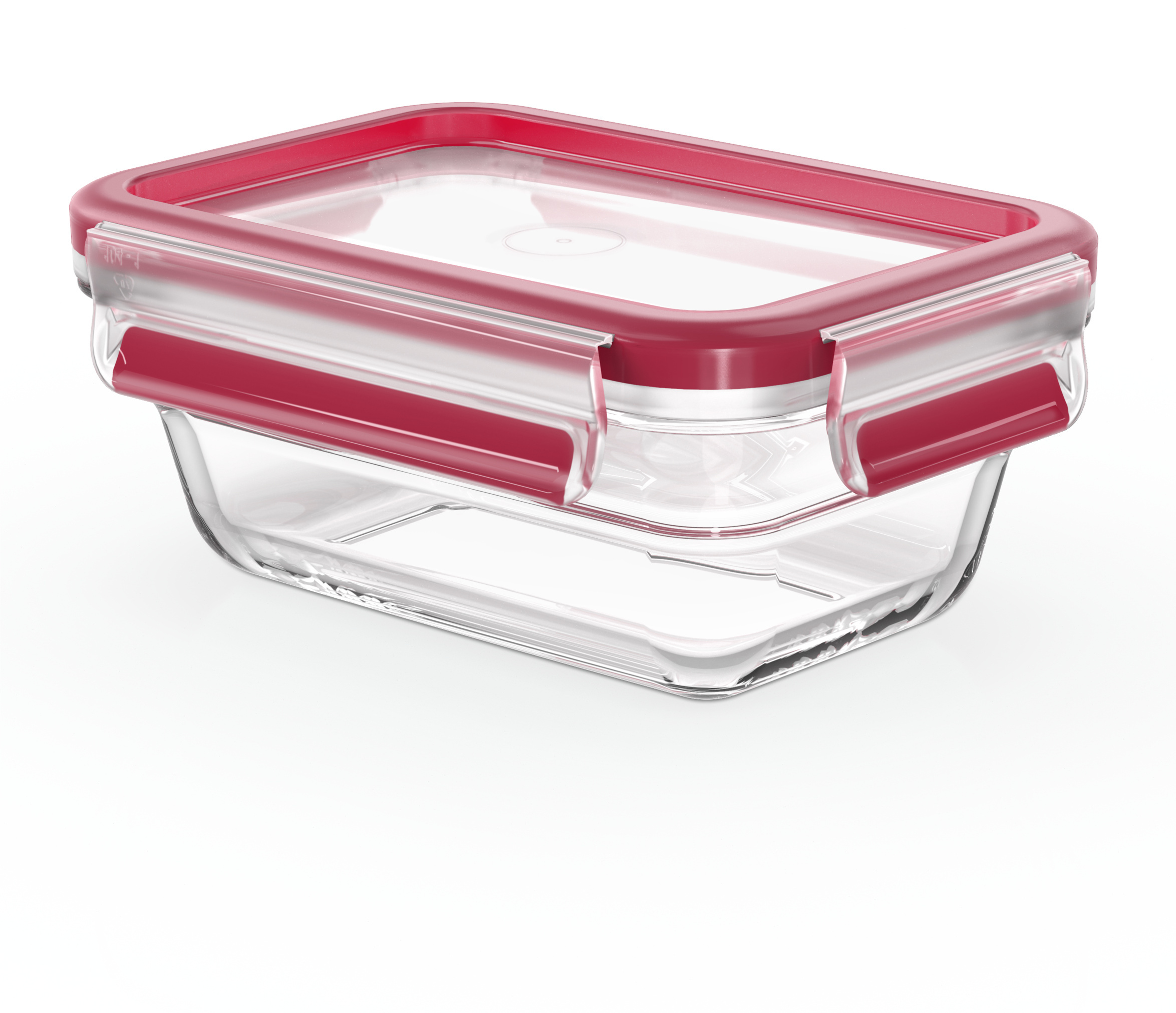 Tefal MasterSeal Glass hoiukarp, klaas, 0,45 L