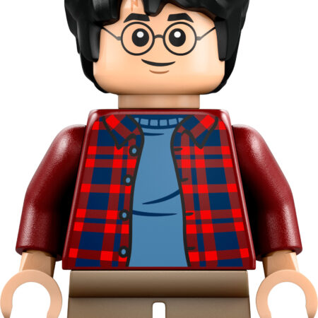LEGO Harry Potter 76424 – lendav Ford Anglia™ - Image 3