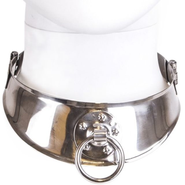 RESTRAINT COLLAR WITH RING