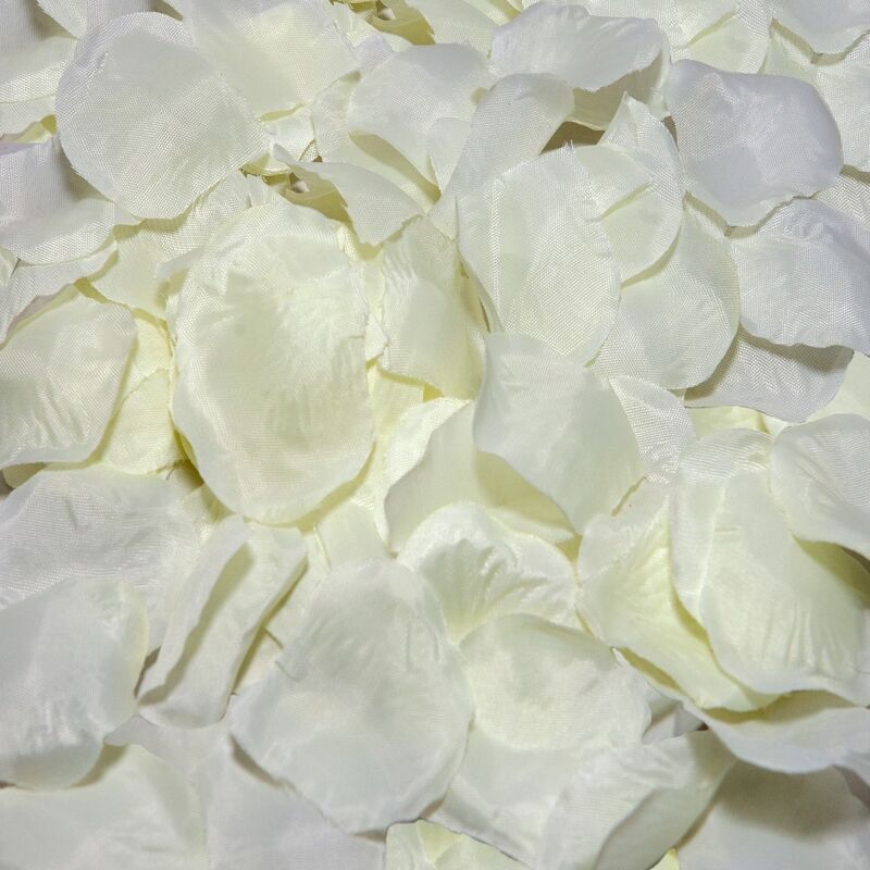 100 VANILLA PETALS