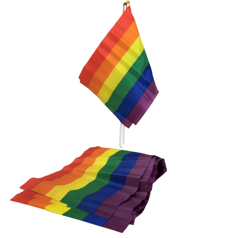 LGBT FLAG SMALL FLAG BANNER