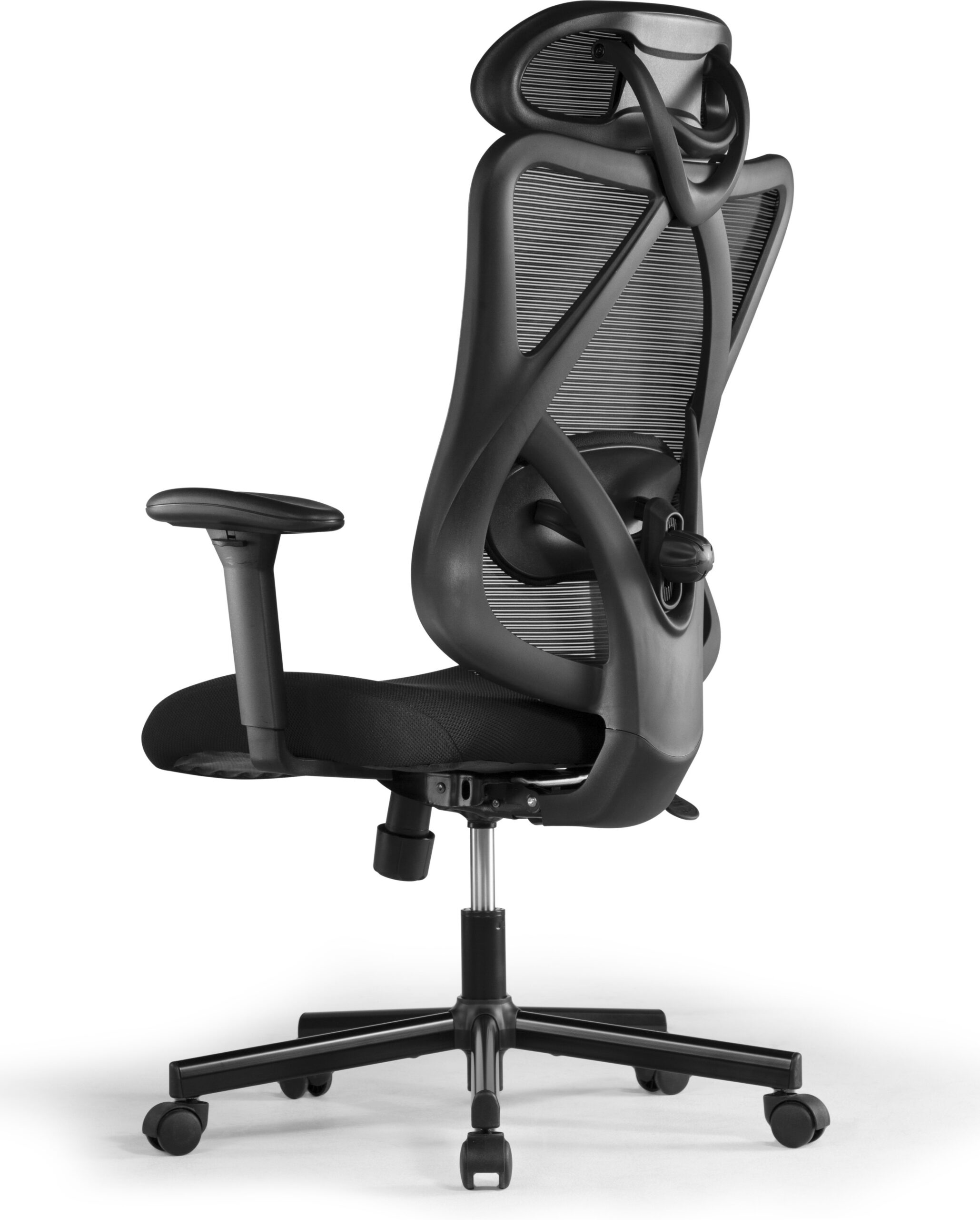 ErgoWork Lumbacker kontoritool, must