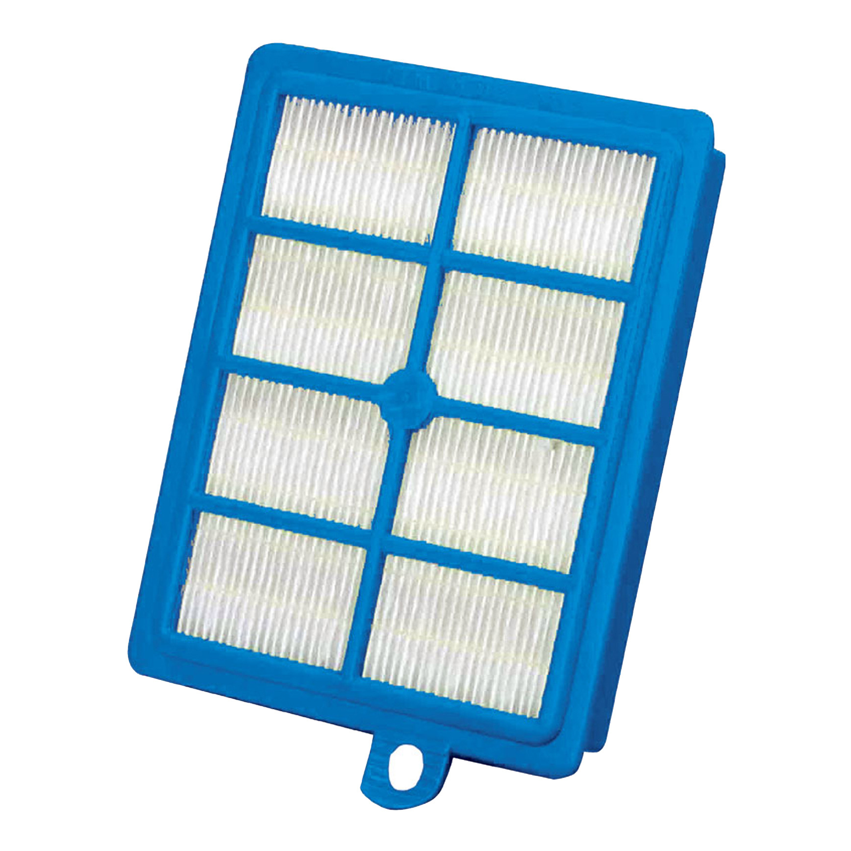 Electrolux EFS1W Allergy Plus filter