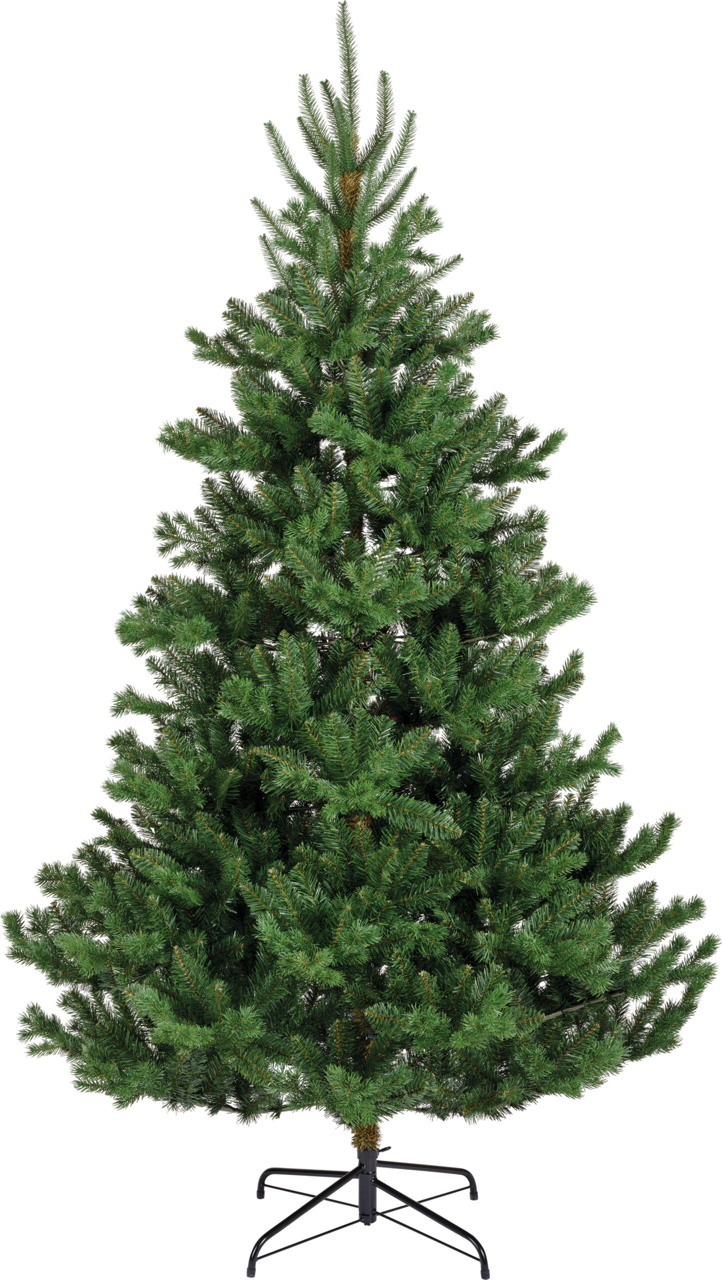 Everlandi Alba kuuse päris jõulupuu, 210 cm