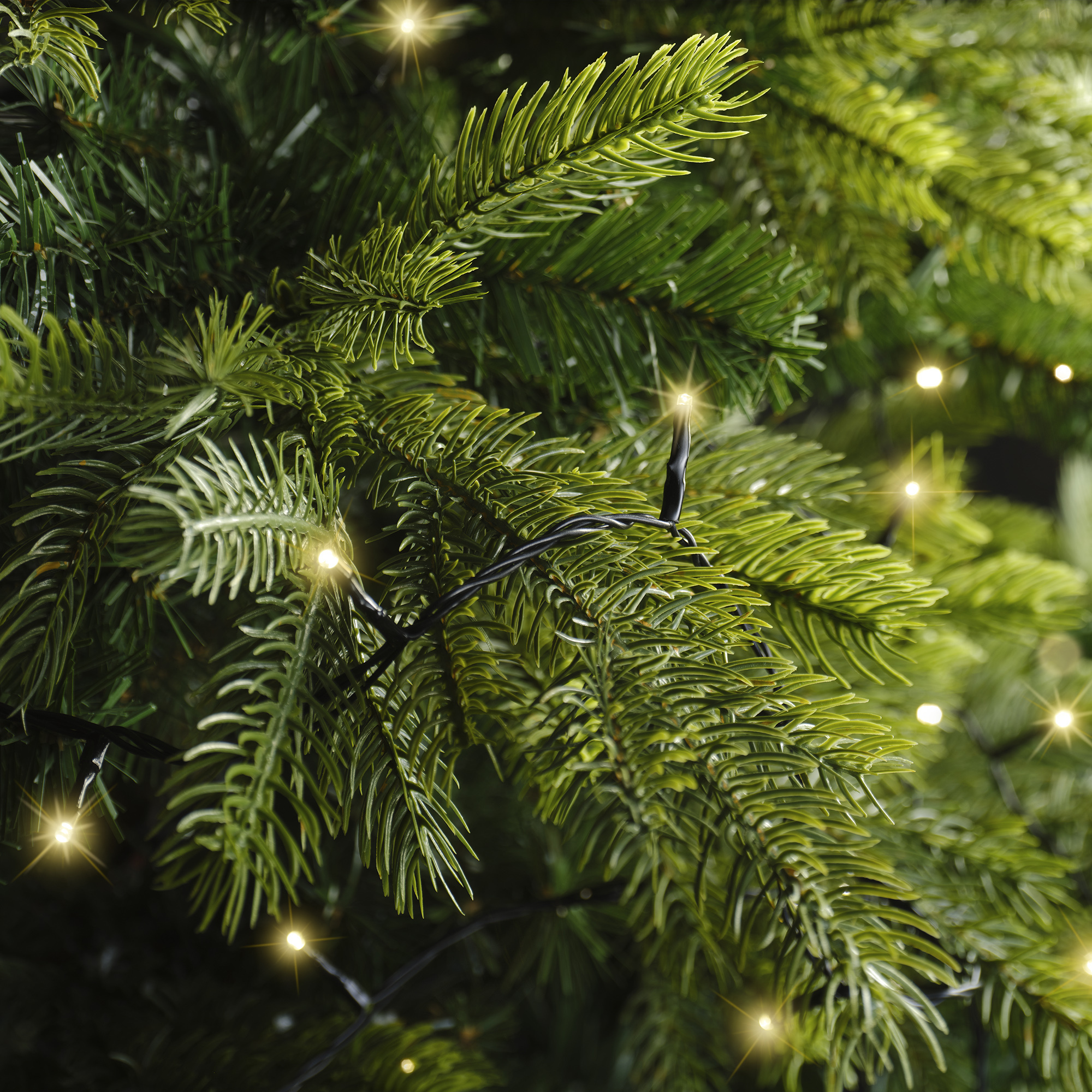 Lumineo Basic twinkle dekoratiivvalgustite komplekt, 6 meetrit