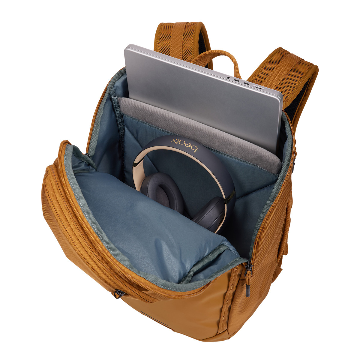 Thule Chasm Backpack 26L -arvutikott, kuldne - Image 3