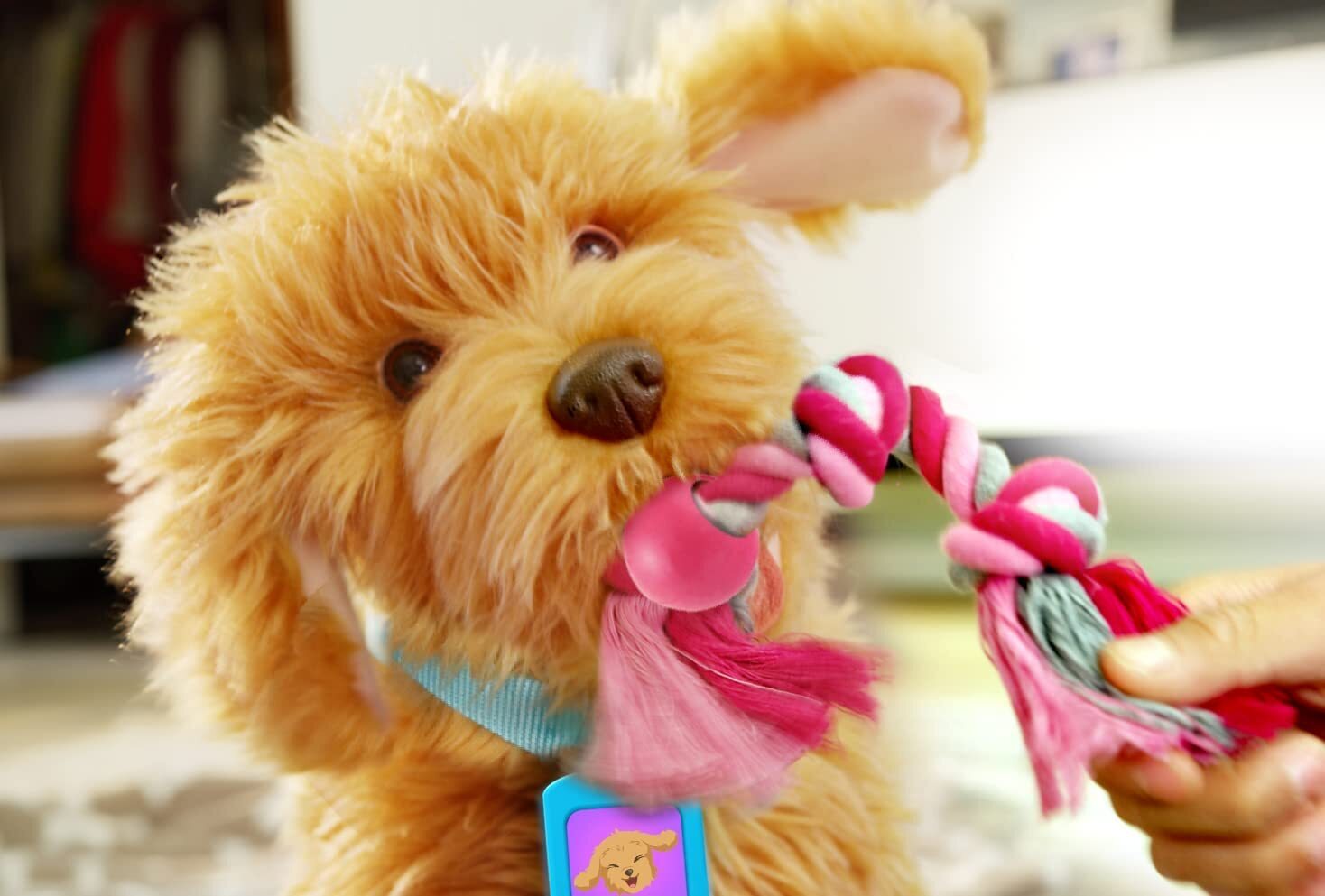My Fuzzy Friends Moji - interaktiivne labradoodle - Image 5