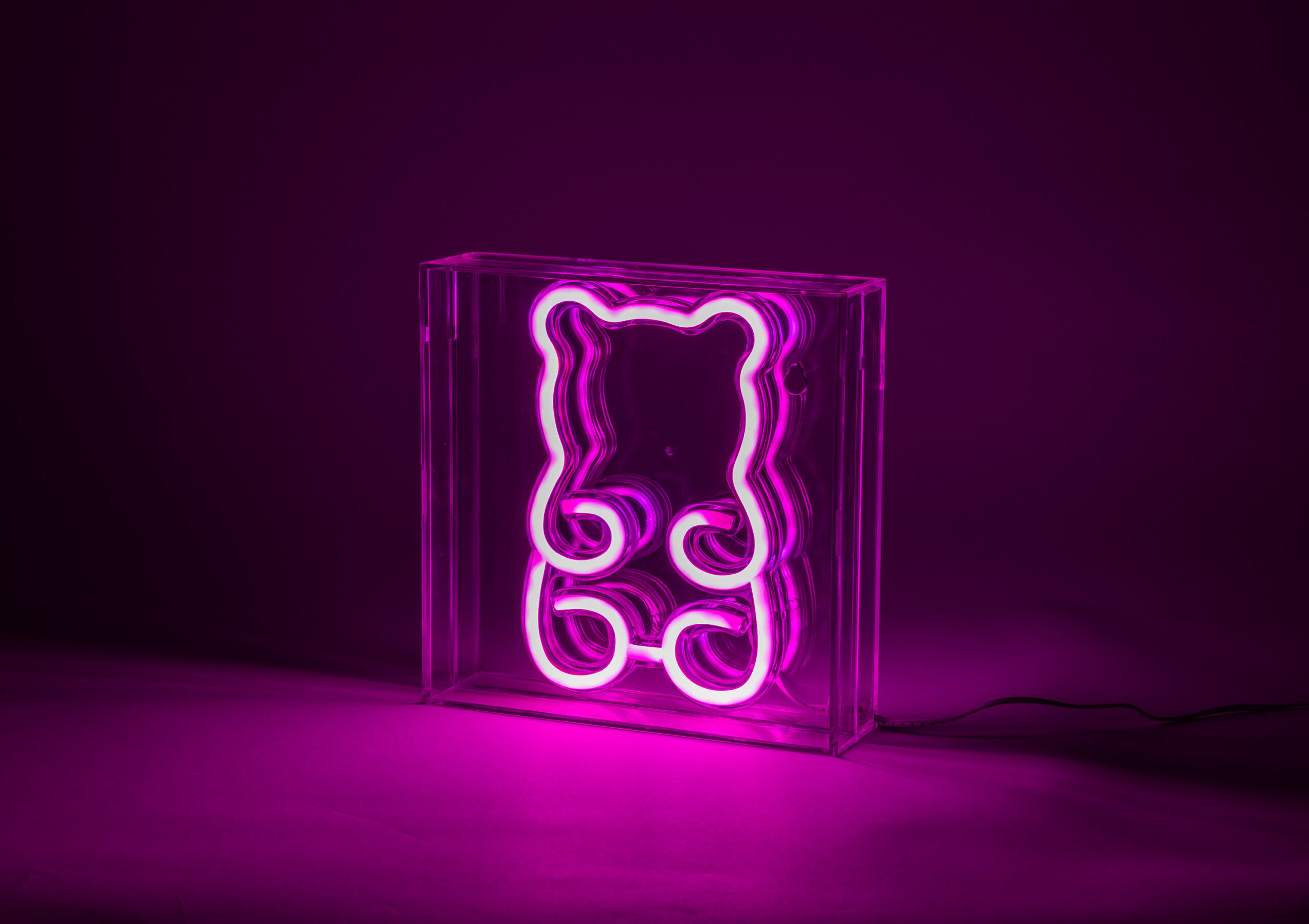 Fuj:tech Neon Teddy lamp