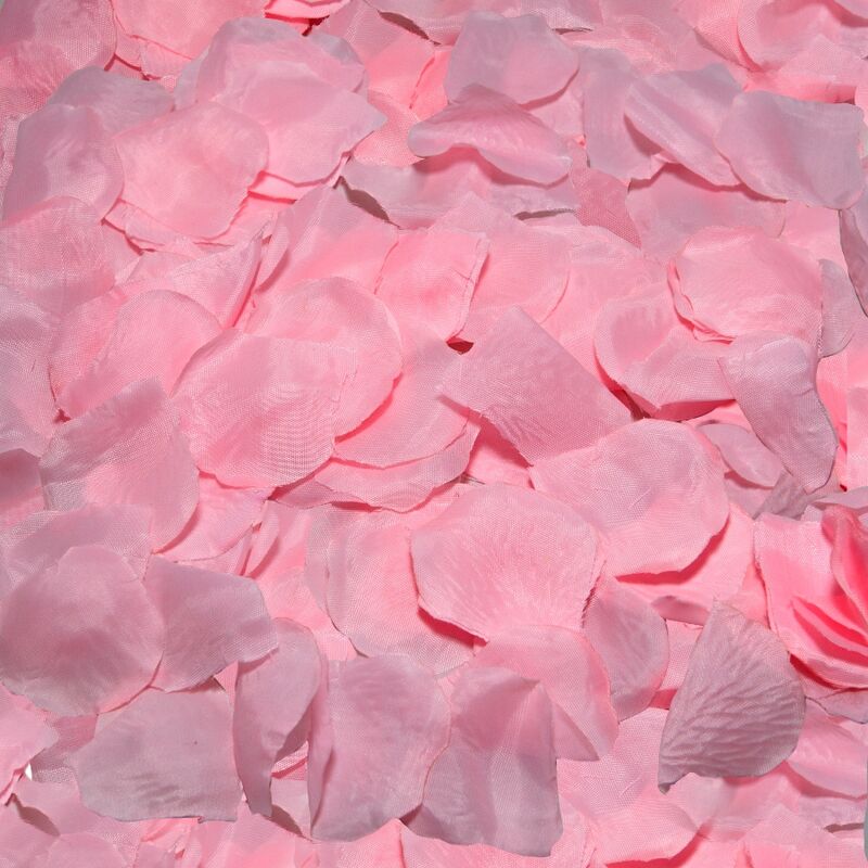 100 PINK PETALS