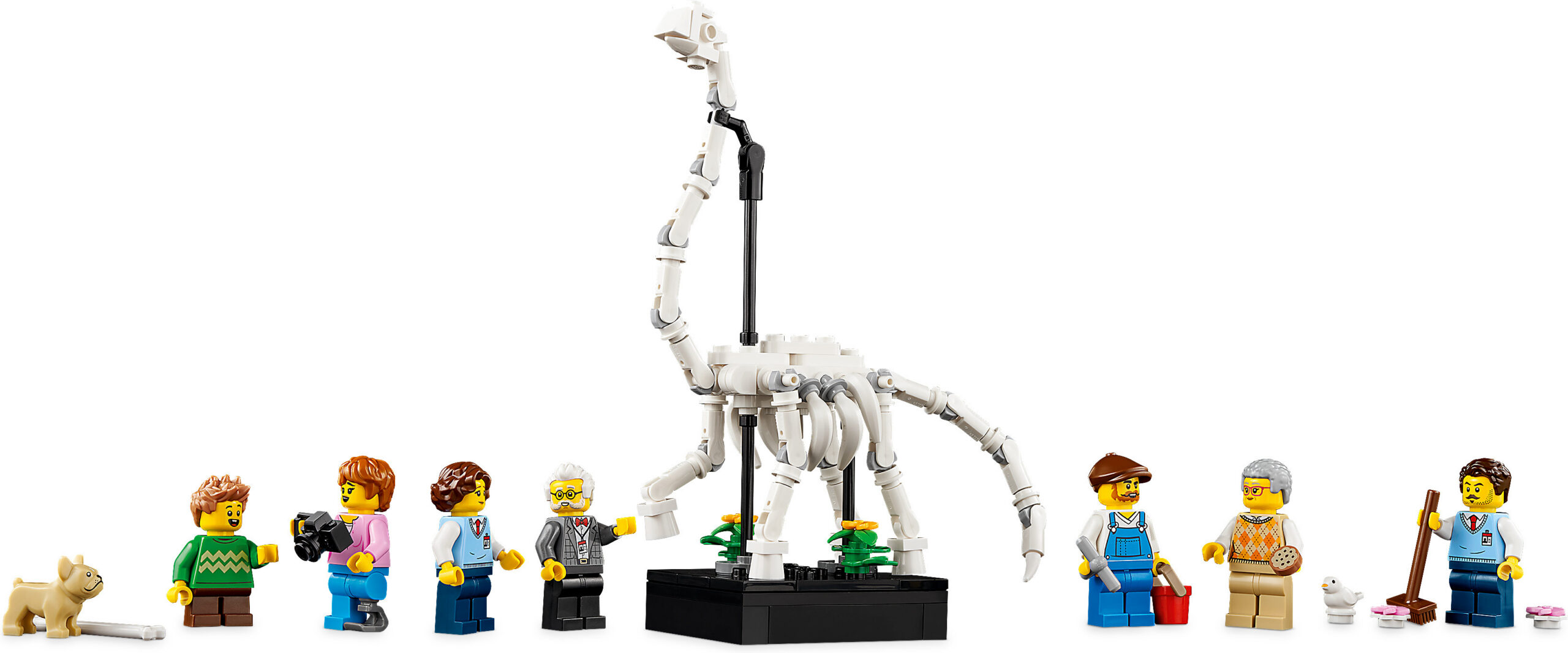 LEGO Ikoonid 10326 - Loodusloomuuseum - Image 5