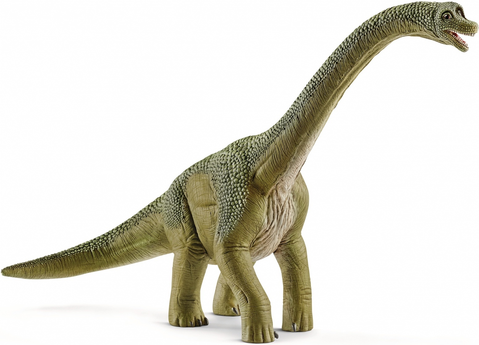 Schleich Dinosaurs 14581 Brachiosaurus