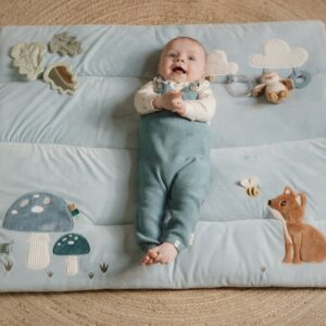 Väike Hollandi metsasõprade mängumatt, helesinine