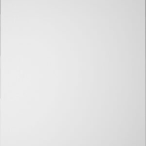 Asko Professional DWC6122BIW nõudepesumasin, valge