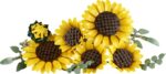 LEGO Botanicals 11502 Auringonkukkakimppu - Pilt 2