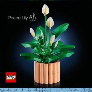 LEGO botaanikaaiad 11504 viirrohi