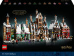 LEGO Harry Potter™ 76457 - Tylyaho Küla - Koguja Väljaanne
