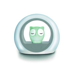 Zazu Lou the Owl yövalo, harmaa