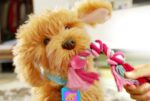 My Fuzzy Friends Moji - interaktiivne labradoodle - Pilt 5
