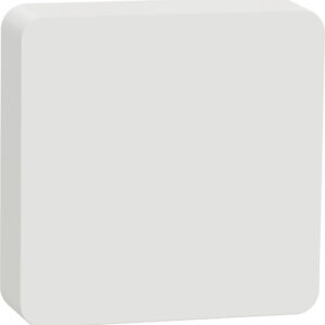 Schneider Electric Wiser temperatuuri- ja niiskusmõõtur