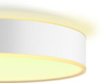 Philips Hue Devere valge atmosfääriga nutikas laevalgusti, M suurus, IP44, valge - Pilt 4