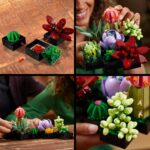 LEGO Botanical 10309 - Sukulendid - Pilt 5