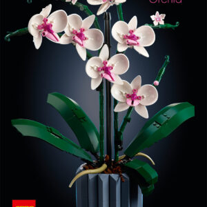 LEGO Botanical 10311 - Orhidee