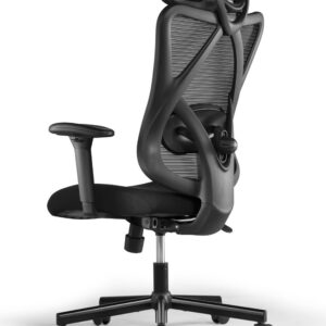 ErgoWork Lumbacker kontoritool, must