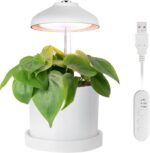Enne Bijou Grow taimelamp, USB, 5 W, 240 lm, valge