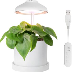 Enne Bijou Grow taimelamp, USB, 5 W, 240 lm, valge