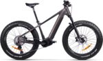 GZR Dominanc-e 3.0 elektriline fatbike 17"