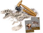 Clementoni History Of Life On Earth - teaduskomplekt - Pilt 5