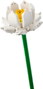 LEGO Botanicals 40647 - Lootoseõied - Pilt 4