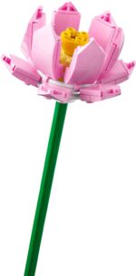 LEGO Botanicals 40647 - Lootoseõied - Pilt 5