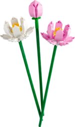 LEGO Botanicals 40647 - Lootoseõied - Pilt 2