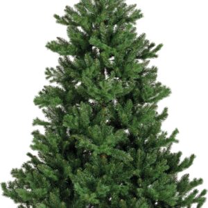 Everlands Alba kuuse päris jõulupuu, 210 cm