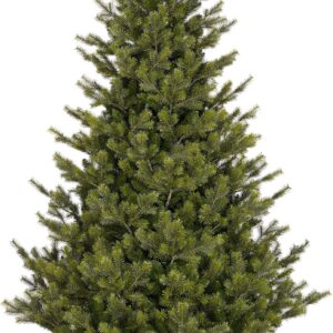 Clive'i elutruu jõulupuu, 215 cm, roheline