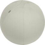 Leitz Ergo -aktiivipallo tasapainottavalla lisäpainolla 65 cm, vaaleanharmaa