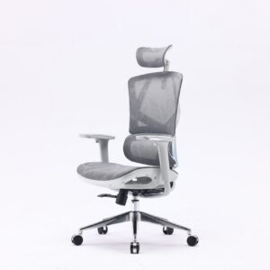 Sihoo M90C ergonoomiline kontoritool, hall