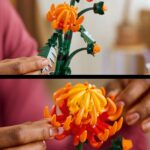 LEGO Botanical 10368 - krüsanteem - Pilt 4