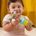 Fisher-Price Click & Spin Activity Pup - beebitegevus mänguasi - Pilt 4