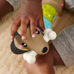 Fisher-Price Click & Spin Activity Pup - beebitegevus mänguasi - Pilt 5