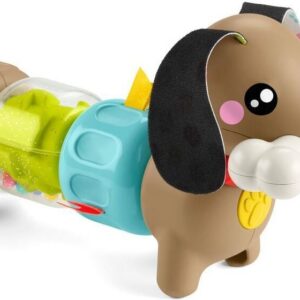Fisher-Price Click & Spin Activity Pup - beebitegevus mänguasi