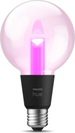 Philips Hue Lightguide Globe nutipirn, E27, G95 - Pilt 3