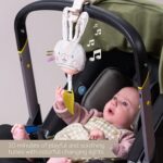 Taf Toys Urban Garden Bunny muusikaline mänguasi - Pilt 2