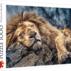 Trefl Puzzle 1000 – Magava Lõvi pusle, 1000 tükki
