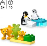 LEGO DUPLO Town 10442 – Metsloomade pered: pingviinid ja lõvid - Pilt 2