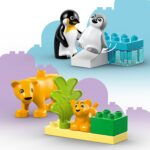 LEGO DUPLO Town 10442 – Metsloomade pered: pingviinid ja lõvid - Pilt 5