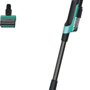 Hoover HF2 lemmikloomadele mõeldud varstolmuimeja