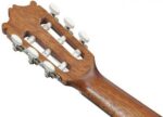 Ibanez GA2-OAM 3/4 klassikaline kitarr - Pilt 2