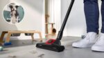 Bosch Serie 6 ProAnimal BGL6PET3 tolmuimeja, punane - Pilt 2